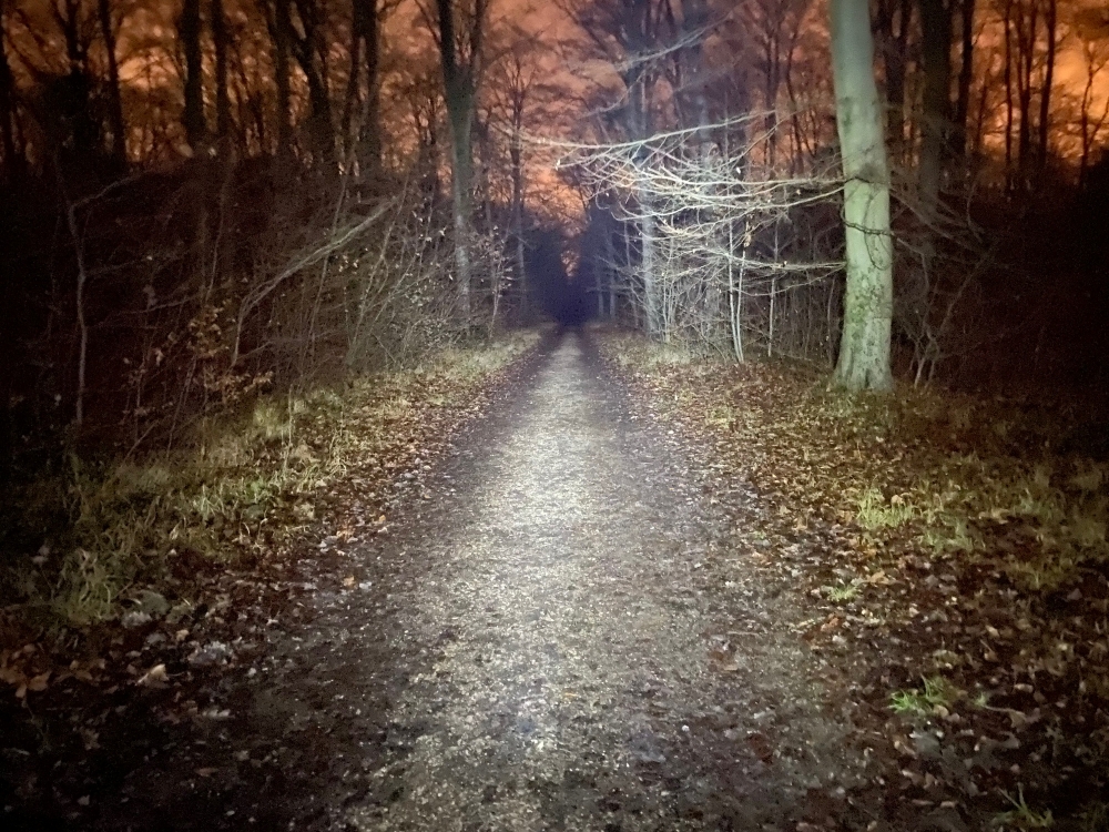 Philippe Boccon-Liaudet, coach professionnel, accompagne les dirigeants et managers